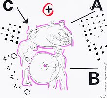Night Drawings #75 - Breast ? by Pascale Baud