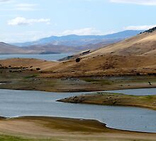 Can I Live Here? by skyhat