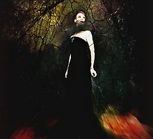 As the Sky Fell by Jennifer Rhoades