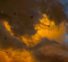 Dog Fight by Matt Hill