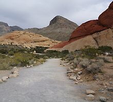 Road Less Travelled by FrankieTease