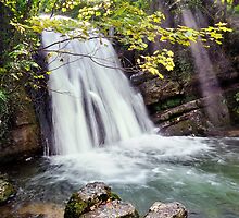 Janet's Foss - The Yorkshire Dales by Dave Lawrance