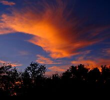 Simple Things ~ James 1:17 by Vince Scaglione