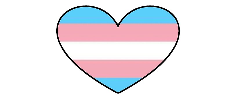Transexual Love 110