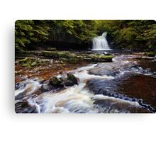 West Burton Falls (Cauldron Falls) - The Yorkshire Dales Canvas Print