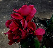 The ragged edges of time..........................! by Roy Massicks