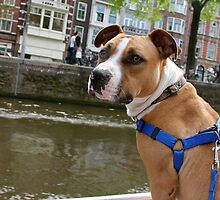 Boat Ride Down the Canal by Becky Hagan