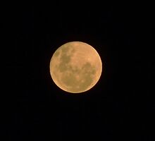 20121129 - Bushfire Moon - ACT by tmac