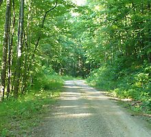 Nature Road by MsSLeboeuf
