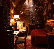 Captive Luxury by Andrew Paranavitana