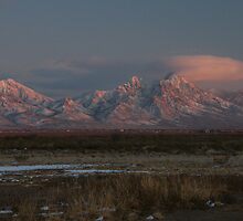 Winter Dusting by JDToomer