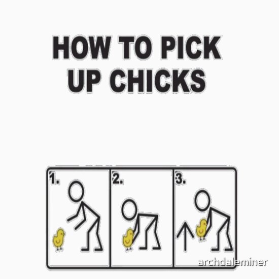 "How to pick up chicks" T-Shirts & Hoodies by archdaleminer Redbubble