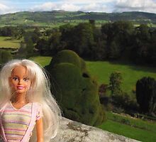 Powis Castle and Garden by VeronicaPurple