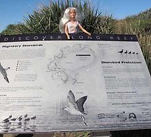 Discover Long Reef by VeronicaPurple