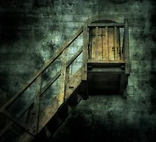 Stepping into mystery by Svetlana Sewell
