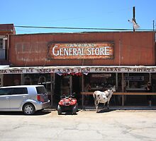 Route 66 - Oatman General Store by Frank Romeo