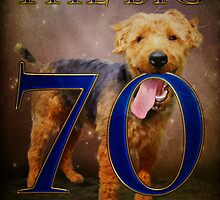 70 Years Young! Please Read Description and see video! by Pamela Phelps