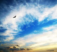 Above The Clouds - American Bald Eagle Art Painting by Sharon Cummings