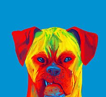 Boxer (Blue) by shakusaurus