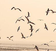 Happiness is...make the decision to allow happiness to come to you... by Kornrawiee