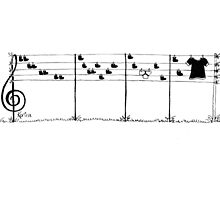 Musician's Washing Line 2 by Kerina Strevens