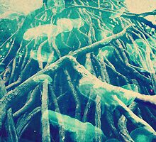 Jelly by Delaram Rosami