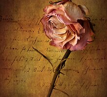 Seule by Jessica Jenney