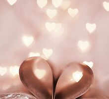 Book of Love by Tracy Friesen