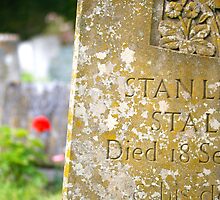 Old headstone in Clayton Churchyard, Sussex by Maxine Collins