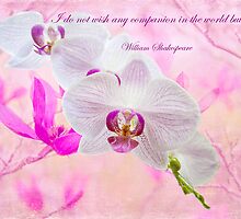 I do not wish any companion in the world but you . . . by Bonnie T. Barry