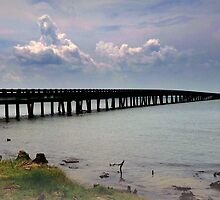 bridge under troubled skies by George Salazar