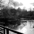 View Across Ponteland Park Lake by axp7884