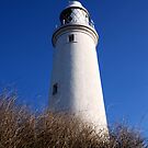 IPhone Case Design: St Mary's Lighthouse, Whitley Bay by axp7884