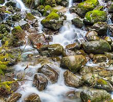Bitter Creek by Jim Stiles