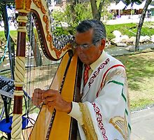 Harpist II by Al Bourassa