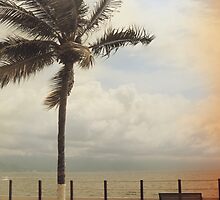 The Wind in My Hair by Laurie Search