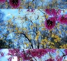 Moments out of Time: Map of an Imaginary World—Trees in Bloom by Ivana Redwine