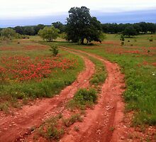 Country Road by Wulfhere