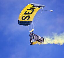 U.S. Navy Parachute Team, the Leap Frogs .2 by Alex Preiss