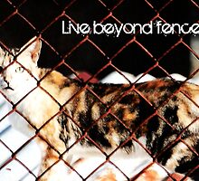 Live Beyond Fences with quote by Louis Delos Angeles