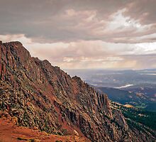 E C O S Y S T E M by Charles Dobbs Photography