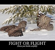 Fight or flight by Heather King