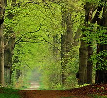 Spring shall overcome by jchanders