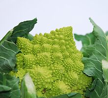 Romanesco Cauliflower by jojobob