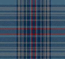 01817 Budge Tartan Fabric Print Iphone Case by Detnecs2013