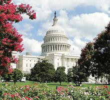 Capitol Blooms by Barrie Woodward