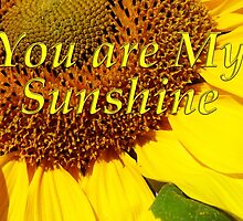 you are my sunshine by dedmanshootn