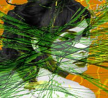 A Tangled Web by Seth Weaver