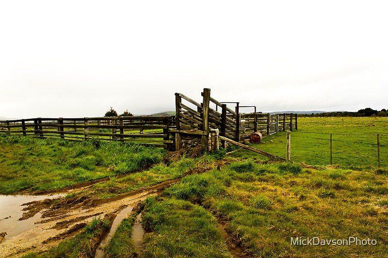 "Central Highlands, Victoria" by MickDavsonPhoto Redbubble