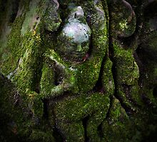 Green Man, Cambodia by Michael Treloar